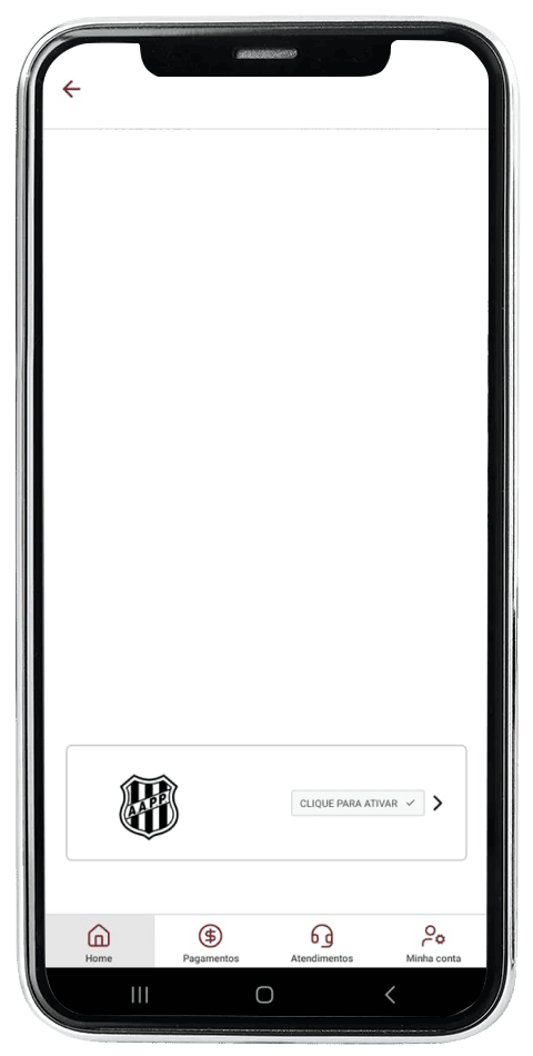 Passo 4 de ativação do plano Ponte Preta no computador